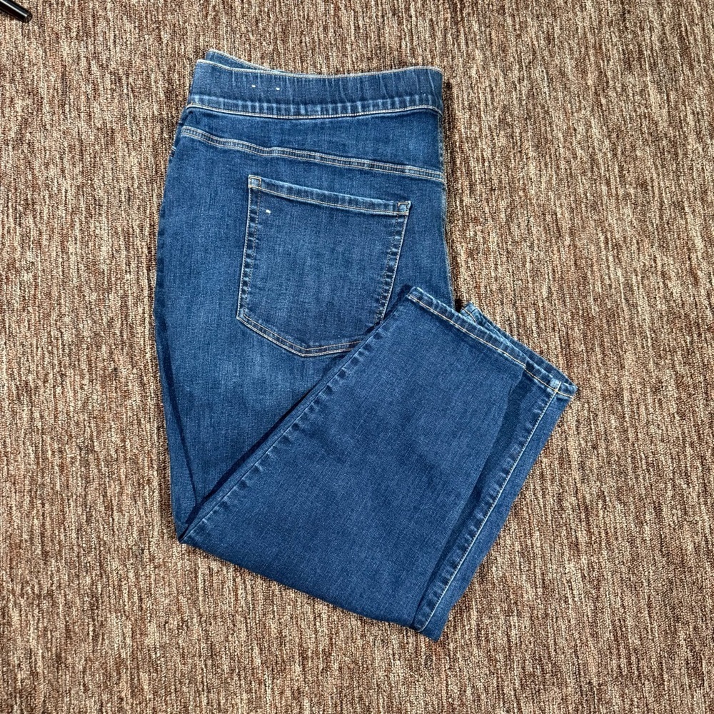 Lane Bryant Plus Size High Rise Dark Wash Pull On Jeggings 28P